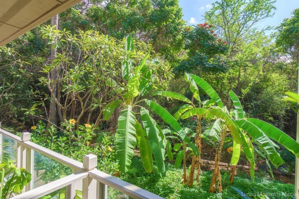 Tiki Tiki - Gorgeous Boho Hideaway! Apartment *